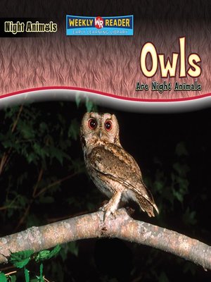 cover image of Owls Are Night Animals